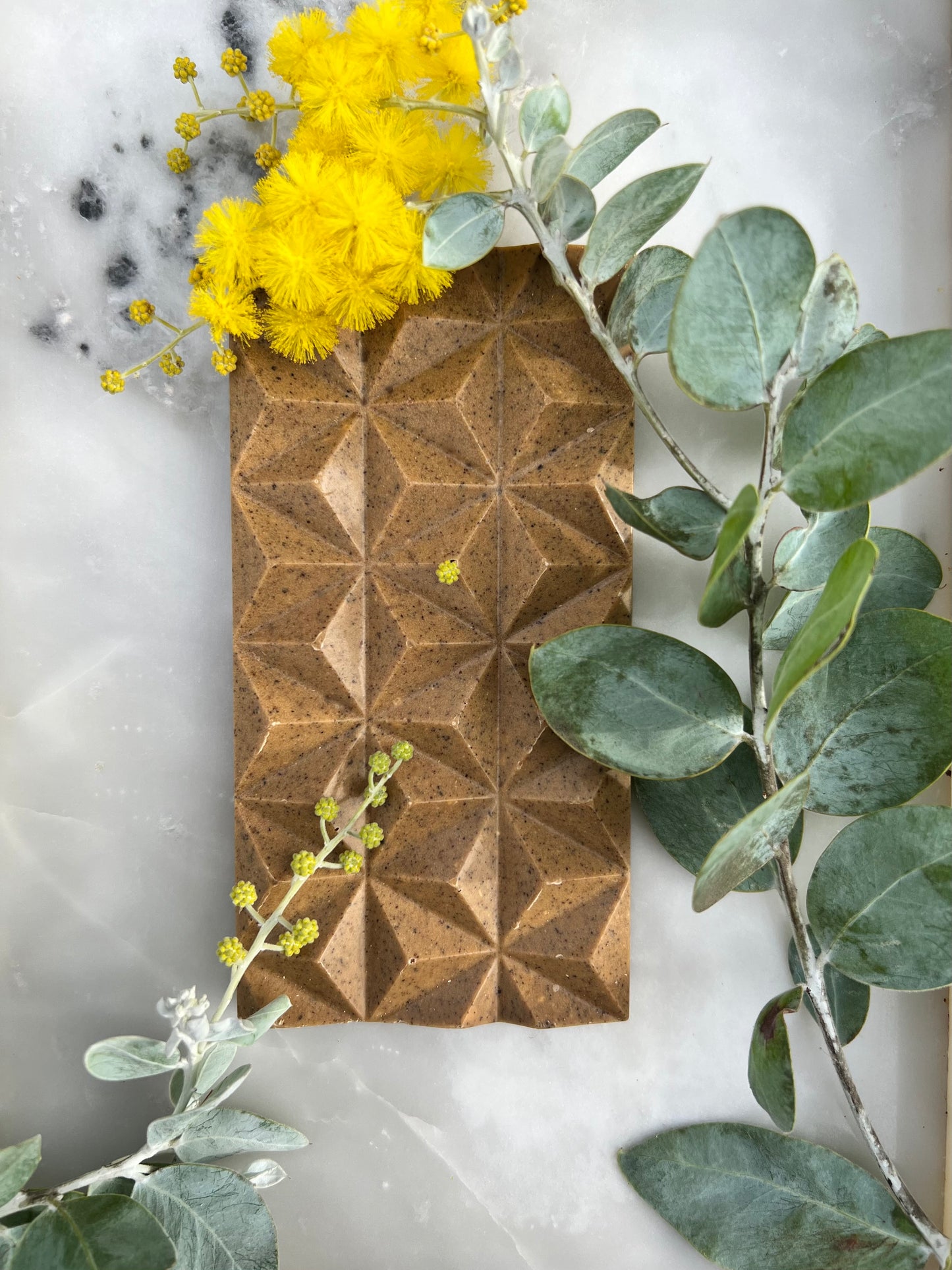 WATTLE SEED DREAMING